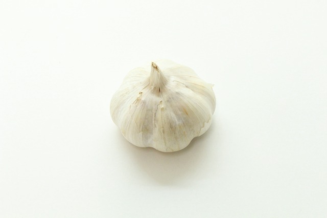 garlic photo