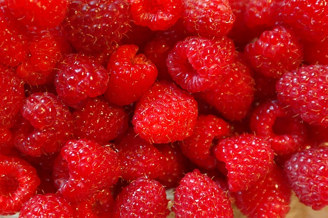 raspberries photo